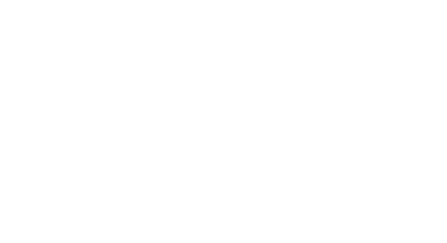 Antu Fleet